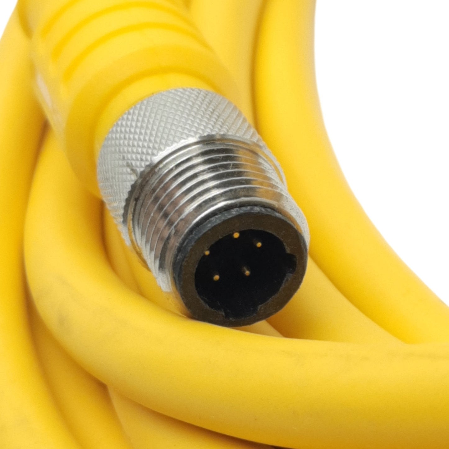 Used Turck SBE 5T-8 Single-ended Cordset, 5-Pin 1/2in-20 UNF Male, 250V 4A, 8m