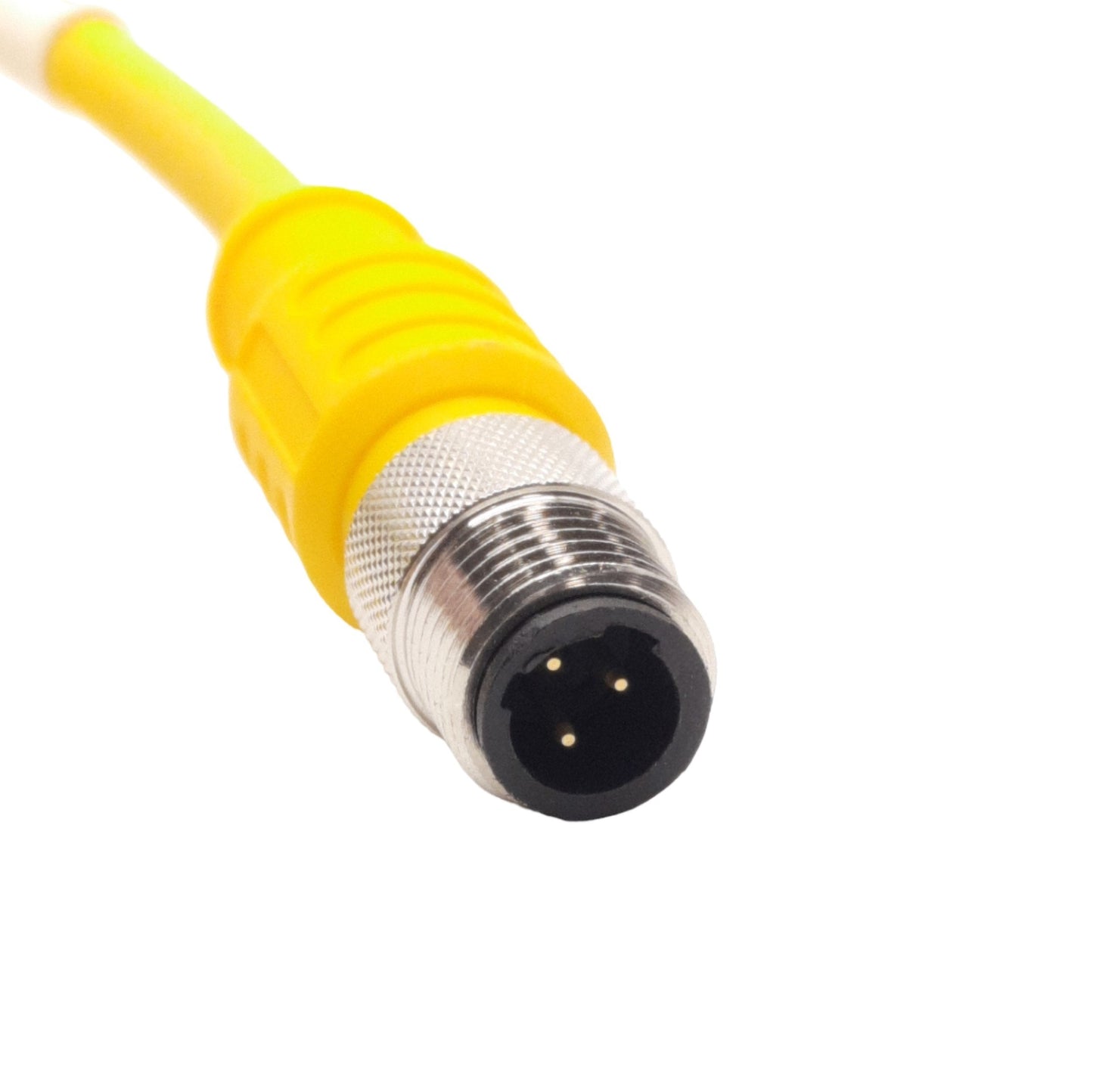 Used Turck SBE 3T-6m/S1587 Single Ended Cordset, 1/2-20UNF 3-Pin Male, 250V 4A, 6m