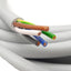 New Murr Elektronik 7000-78021-9610500 Cable, 7/8in 5-Pin Female, 230VAC/DC, 12A, 5m