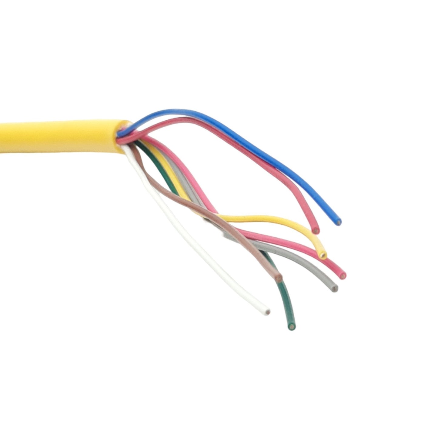 New Lot of 4 Phoenix Contact 1405851 Sensor/Actuator Cable, 30V, 8-Pin M12, 0.3m