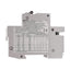 New Altech 2DU30 Circuit Breaker, D-Curve, 2-Pole, 30A, 480Y/277VAC, DIN Rail