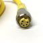New – Open box Automation Direct ZP-S1-5FP-4M ZIPport Cable 7/8-16 5-Pin Female to Flying Leads