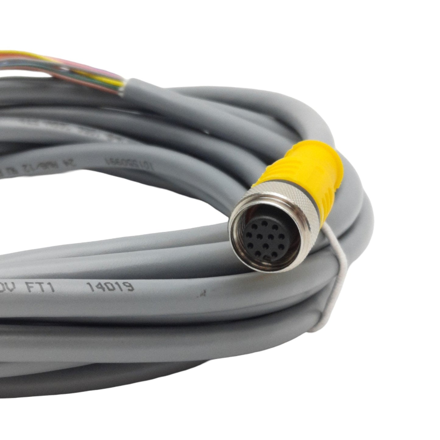 New Turck RKC 12T-5 Cordset, M12 12-Pin Female to Leads, 5 Meters, 60VAC/75VDC, 2A