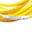 New Turck WKC 4.4T-6-RSC 4.4T Cordset, M12 4-Pin M/F, 6 Meters, 250VAC/DC 4A