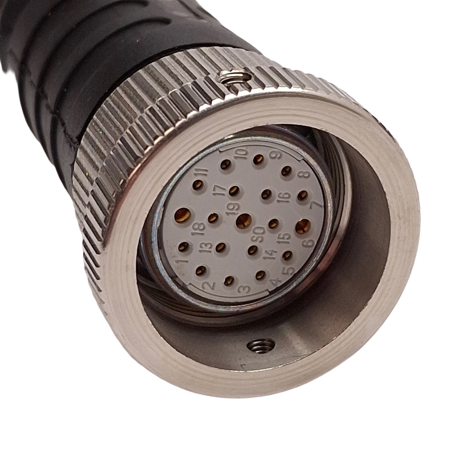 New Turck P-CSMT CKMT 19-195-30.5 Hazardous Location Cordset, M23 19-Pin, 100ft