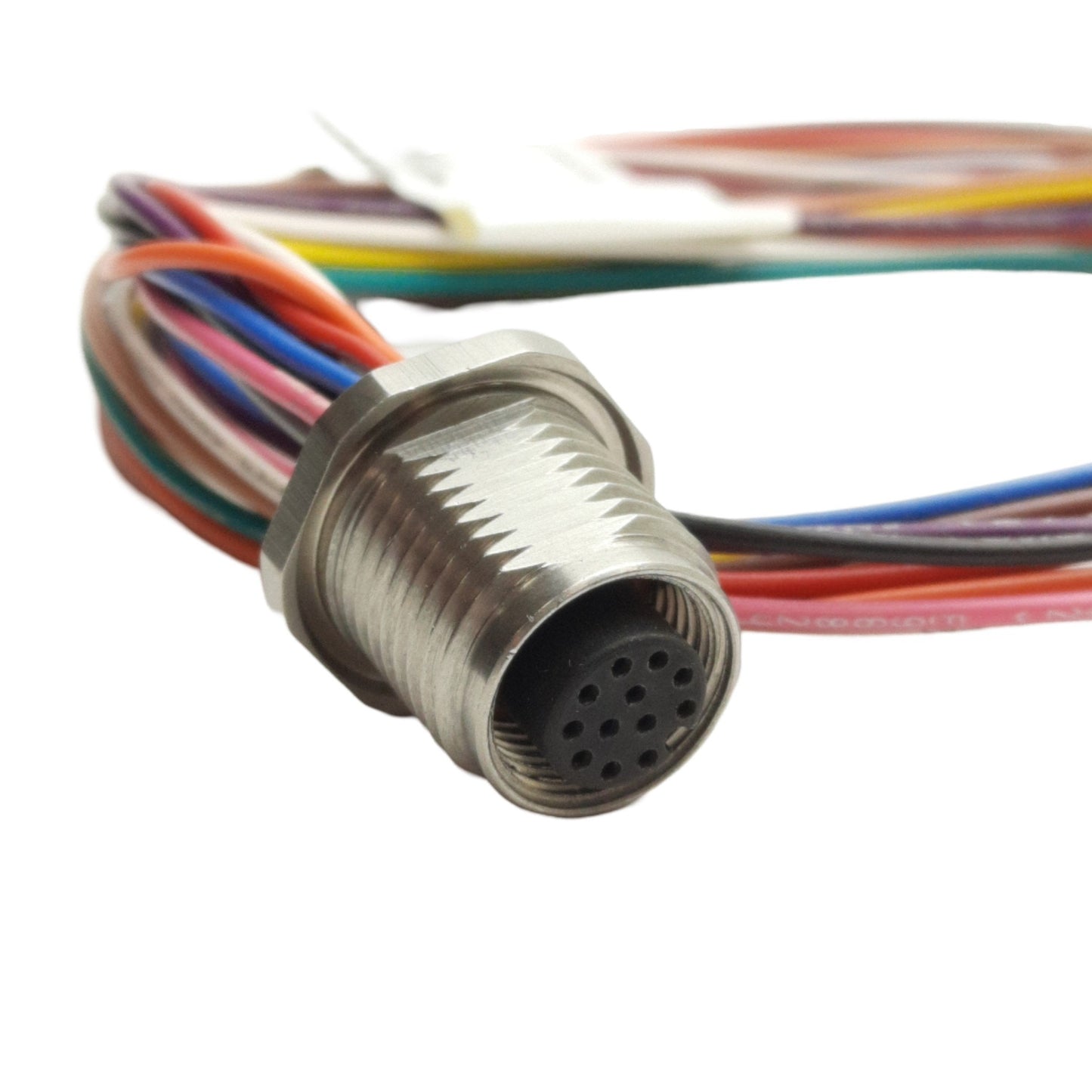 New Turck FKFDV 12-0.5 EuroFast Cordset M12 12-P Female/Leads, 0.5m, 60VAC/75VDC 2A