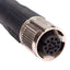 New Phoenix Contact 1417290 Sensor/Actuator Cable, 30V 1.5A, A-Coded, M12 12-Pin, 5m