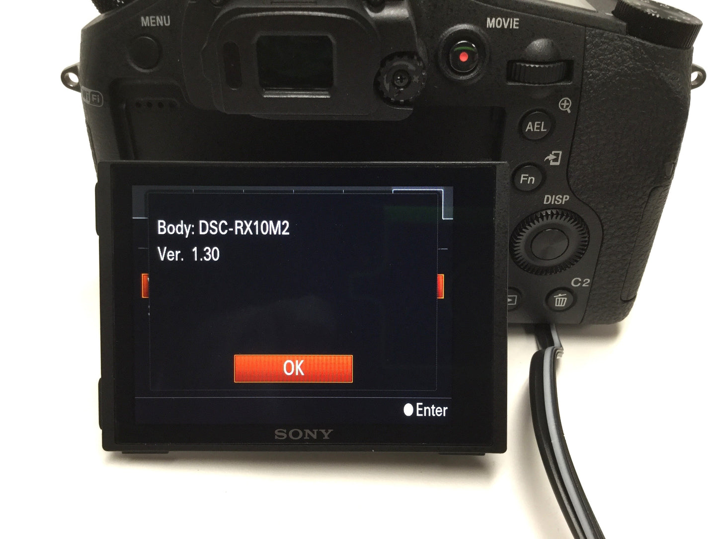 Used Sony DSC-RX10M2 Cyber-Shot Digital Compact Camera 20.2MP HD/4K, f2.8, 1" RS CMOS