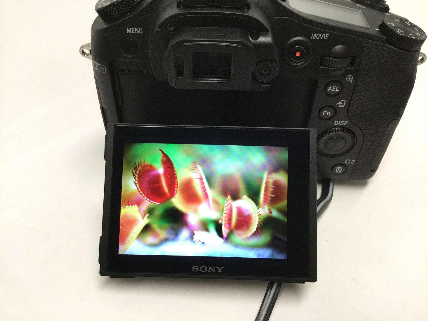 Used Sony DSC-RX10M2 Cyber-Shot Digital Compact Camera 20.2MP HD/4K, f2.8, 1" RS CMOS