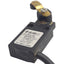 Used Pizzato FF 4831-2DN Roller Lever Limit Switch, 1NO + 1NC, 500VAC/600VDC 10A