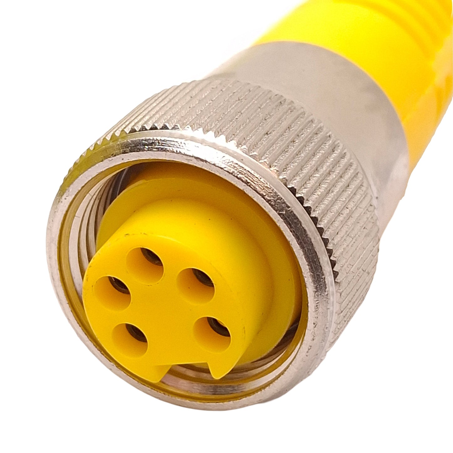 New Turck RKM 55-10M/S600 Cordset, 600V 10A, 7/8" Minifast 5-Pin to Flying Leads 10m