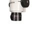Used Wild Heerbrugg Wild M8 Stereoscope Trainer, 6x-50x Magnification Microscope