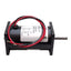 Used Automation Direct MTPM-P10-1JK43 DC Motor, 12/24VDC, 0.05/0.1HP, 1746/4252RPM