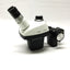 Used Bausch & Lomb StereoZoom 4 Stereo Microscope Head 0.7x to 3x w/10x Eyepieces