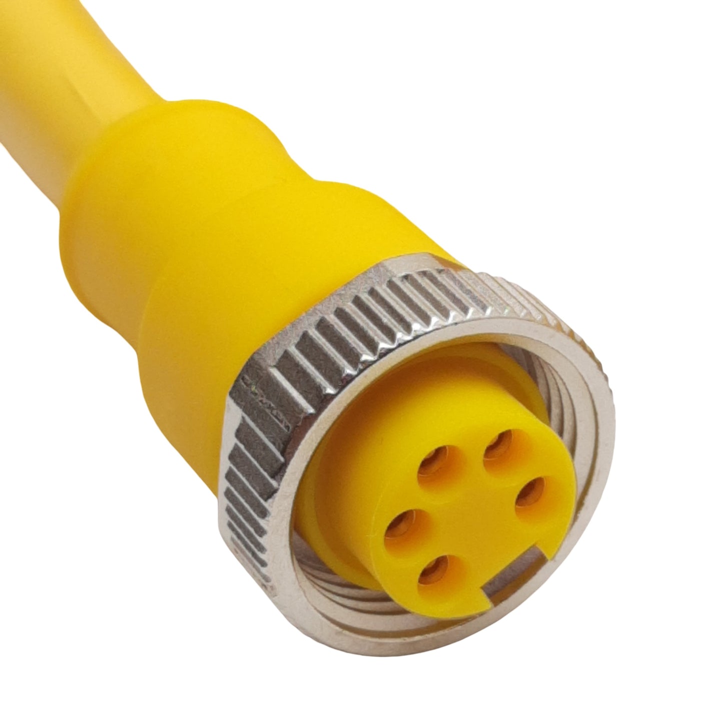 New SMC PCA-1558823 Cordset, 7/8in Connector 5-Pin Female to Flying Leads, 6m