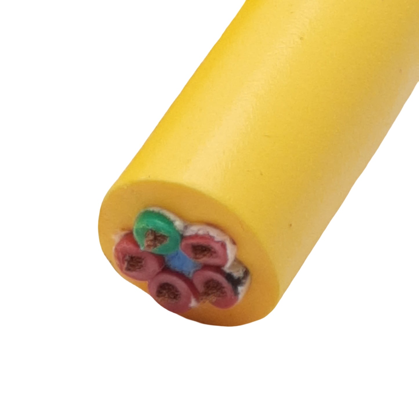 New SMC PCA-1558823 Cordset, 7/8in Connector 5-Pin Female to Flying Leads, 6m