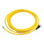 New Murrelektronik 7000-12221-0340500 Cordset 5-Pin M12 Female to Leads 4A 250VAC 5m