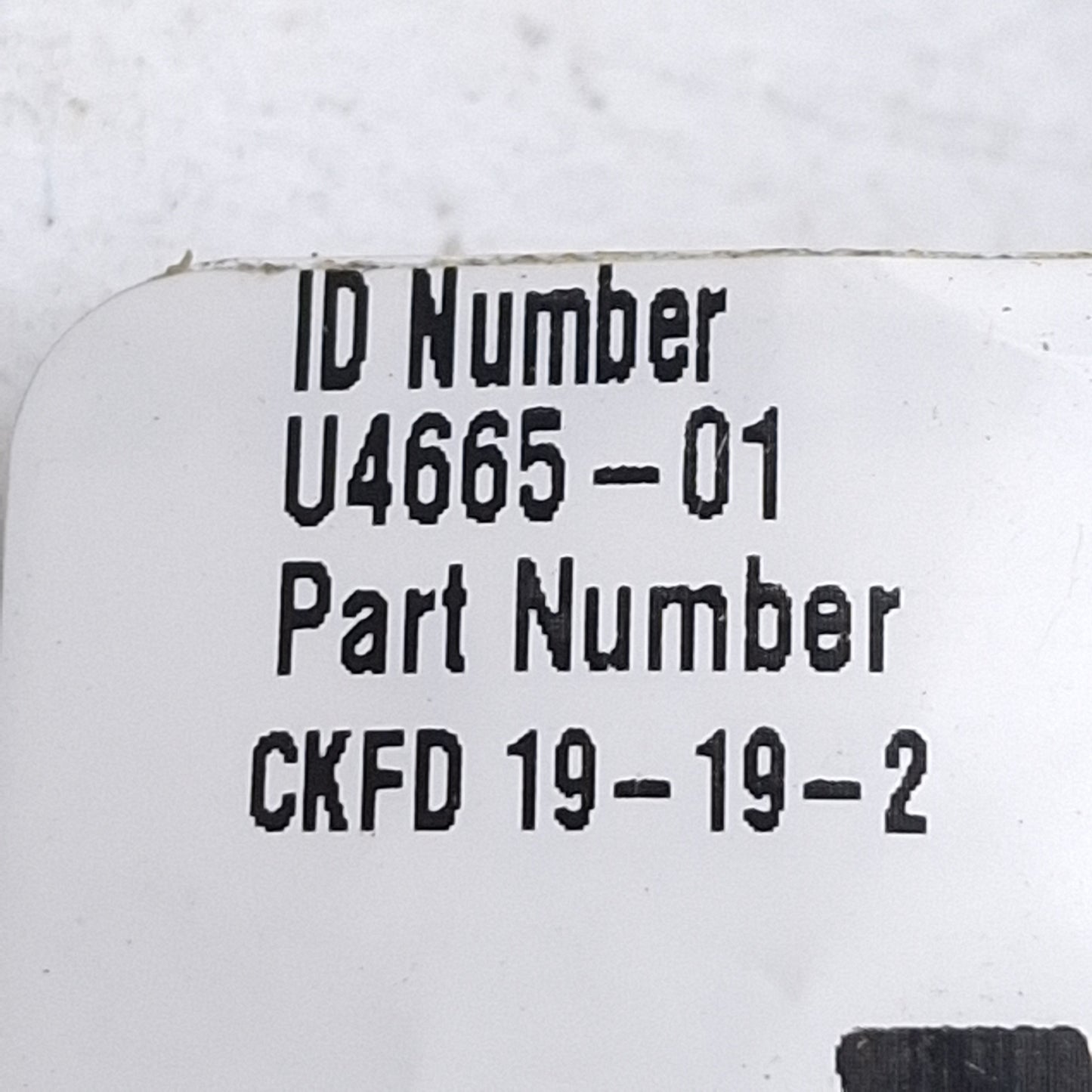 Used Turck CKFD 19-19-2 Actuator & Sensor Receptacle, 150V 9A, M23 19-Pin Female, 2m