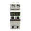Used Lot of 2 AEG Elfa E82S C16 Circuit Breaker, 2-Poles, 16A, 277/480VAC, DIN Rail