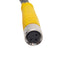 Used Lot of 2 Turck PKG 3M-4/S90 Picofast Cordset Cable 3-Pin, 125V 4A, 2m Long