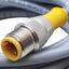Used Turck RS 4.4T-6 Actuator Sensor Cable M12 Male Straight 4-Pin to Single End, 4m