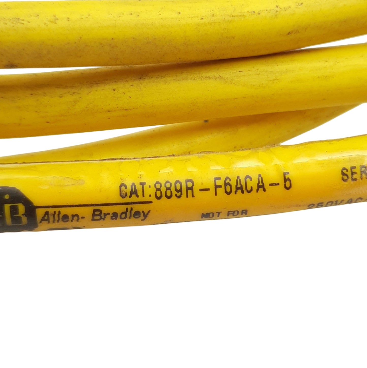 Used Lot of 2 Allen Bradley 889R-F6ACA-2 AC Micro Cordset 250VAC 4A, M12 6-Pin Female