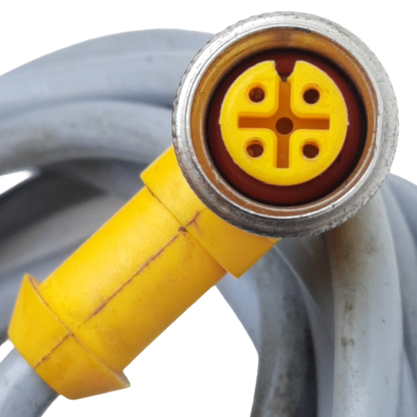 Used Turck WK 4.4T-2-WS 4.4T/S675 Right-Angle M12 Eurofast Female x Bare End Cable 2m