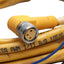 Used Lot of 2 Turck PKW 3M-6 Actuator/Sensor Connection Cable M8 3-Pin, 125 VAC/DC 6m