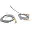 Used Lot of 2 Turck RK 4T-2 Actuator/Sensor Cable M12 4-pin Female, 250V, 4A, 2m