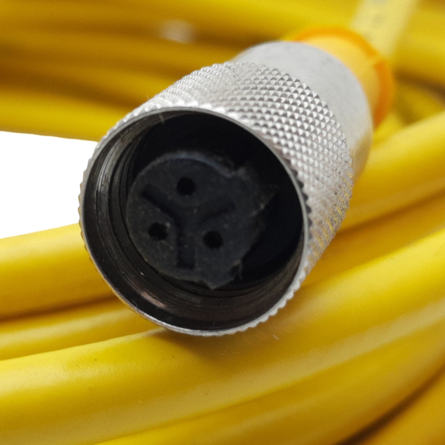 Used Turck KB 3T-6 MicroFast Cordset 3-Pin 1/2"-20 UNF Female to Flying Leads 250V 6m