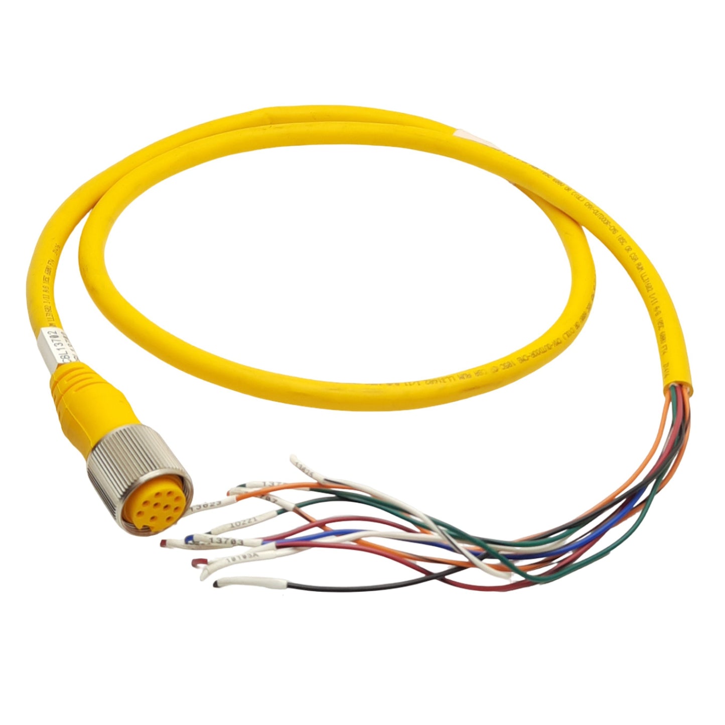 Used Turck RKM 106-5M Single Ended Cable, 1-1/8in 10-Pin Female, 5ft Length, *Cut*