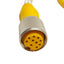 Used Turck RKM 106-5M Single Ended Cable, 1-1/8in 10-Pin Female, 5ft Length, *Cut*