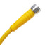 New Turck PKGV 3M-10 PicoFast Cordset 3-Pin M8 Female to Flying Leads 125VAC 4A, 10m