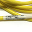 Used Allen Bradley 889D-F5FCDM-J2 Patchcord QD Cordset Cable M12 5-Pin DC Micro, 2m