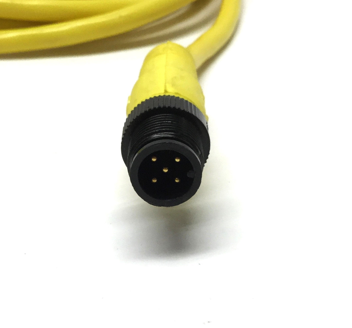 Used Allen Bradley 889D-F5FCDM-J2 Patchcord QD Cordset Cable M12 5-Pin DC Micro, 2m