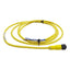 New Allen Bradley 889D-F5FC-J2 Cordset 5-Pin M12 DC Micro Female to Flying Leads, 2m