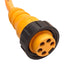 Used Lumberg RK50/5M Single-Ended Cordset, 600V 8A, 5-Pin Mini 7/8" Female, 5m Long