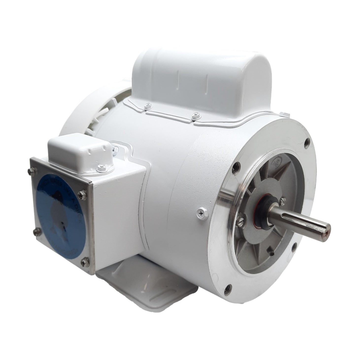 New Leeson 112526.00 WashGuard Motor, 115/230VAC 1-Ph, 1/3HP, 56C Frame, 1725RPM