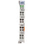 New WAGO 750-552/000-200 2-Channel Analog Output Module 24VDC, 2 Outputs, DIN Rail
