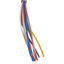 New Murrelektronik 7000-17197-2920100 M12 Female Receptacle 1m Length, 30VAC/DC, 2A
