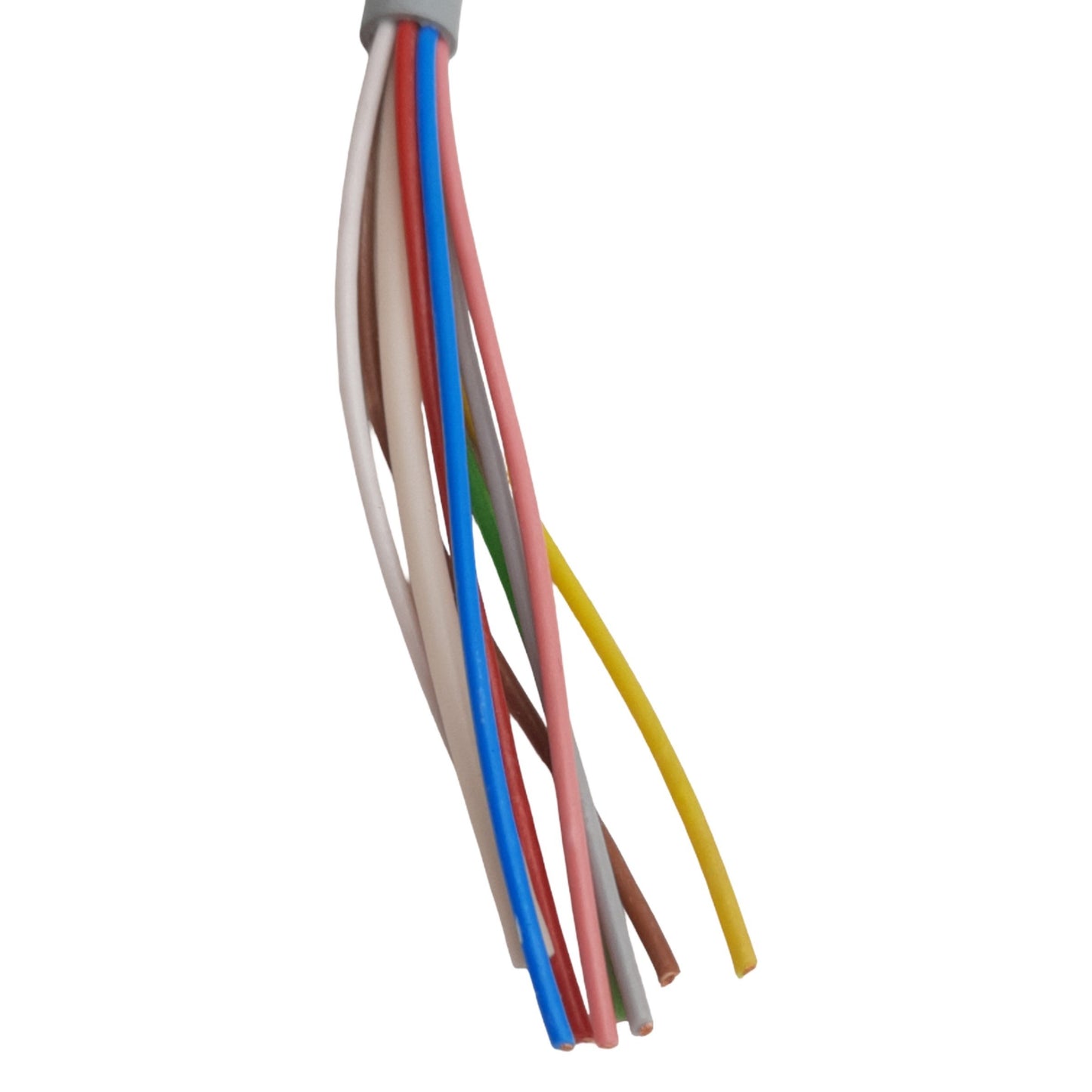 New Murrelektronik 7000-17197-2920100 M12 Female Receptacle 1m Length, 30VAC/DC, 2A