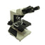 Used Vista Vision VWR Upright Binocular Compound Microscope, 10x Plan Eyepieces