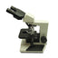Used Vista Vision VWR Upright Binocular Compound Microscope, 10x Plan Eyepieces
