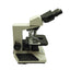 Used Vista Vision VWR Upright Binocular Compound Microscope, 10x Plan Eyepieces
