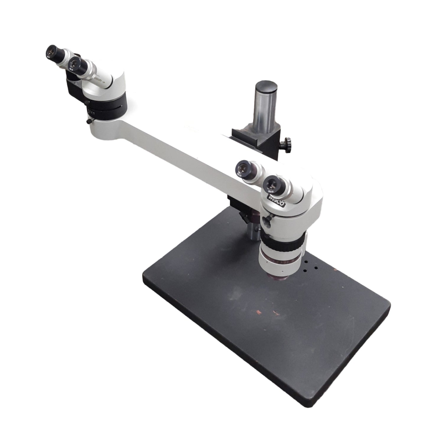 Used Wesco Dual Head Trainer Microscope With Objective and 10x/21 Eyepieces