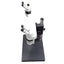 Used Wesco Dual Head Trainer Microscope With Objective and 10x/21 Eyepieces