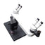 Used Wesco Dual Head Trainer Microscope With Objective and 10x/21 Eyepieces