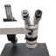 Used Wesco Dual Head Trainer Microscope With Objective and 10x/21 Eyepieces