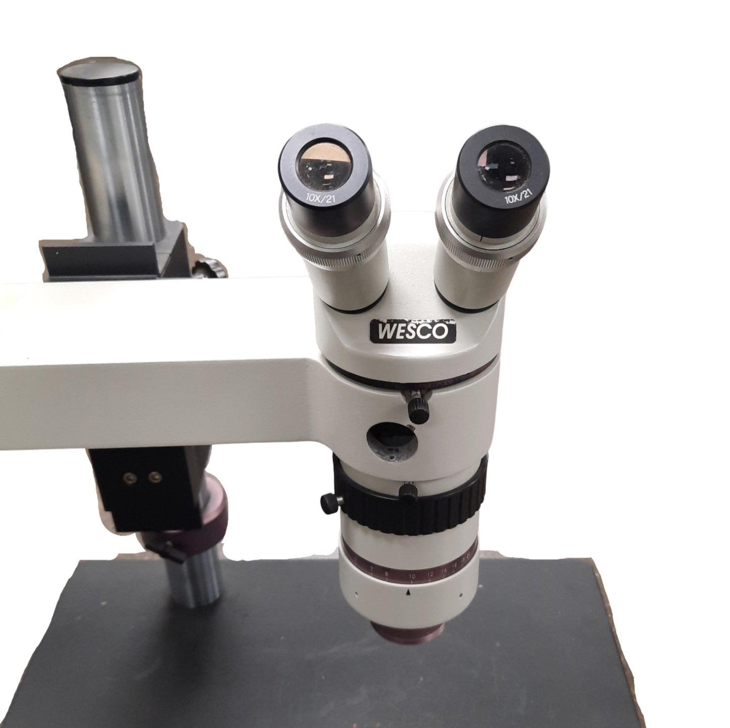 Used Wesco Dual Head Trainer Microscope With Objective and 10x/21 Eyepieces