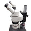 Used Wesco Dual Head Trainer Microscope With Objective and 10x/21 Eyepieces